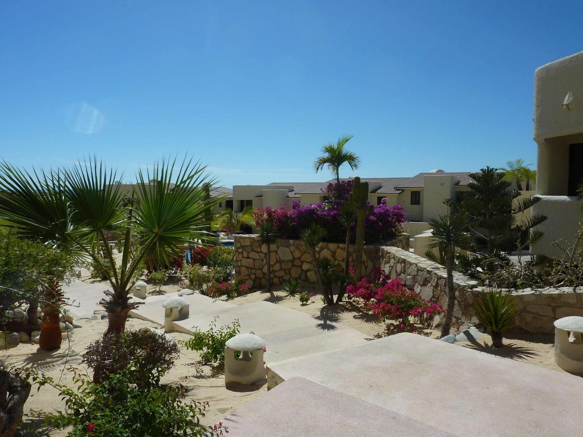 Villa Tortuga Cabo San Lucas Exterior photo